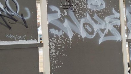 Жители Сыктывкара жалуются на вандализм