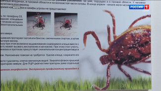 Ареал клещей в Республике Коми расширяется