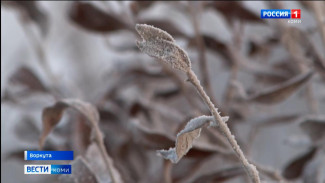 В Воркуте объявили актированный день для школьников с 1 по 5 класс