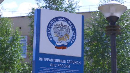 Налоговая служба напоминает о правилах предоставления  декларации о доходах