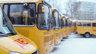 Правительство РФ направит дополнительные средства на закупку школьных автобусов