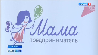 В Сыктывкаре стартовал региональный этап федеральной образовательной программы «Мама-предприниматель»