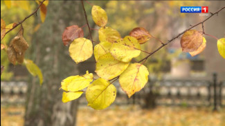 Прогноз погоды на предстоящие выходные