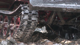 В Прилузском районе житель Кировской области привлекается к уголовной ответственности за нарушение правил безопасности при ведении работ на лесной делянке