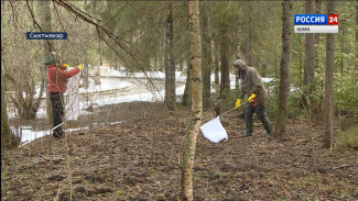 Пик активности клещей в южных районах Коми в этом году придётся на майские праздники