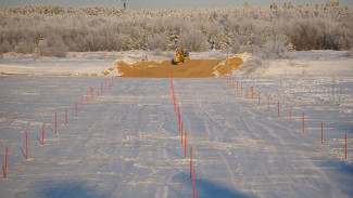 В местечке Алешино открыли автомобильную переправу на пять тонн