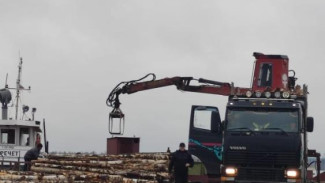 В Коми создана горячая линия по вопросам обеспечения граждан дровами