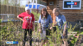 Сотрудники Россельхознадзора с начала года выявили 47 нарушений в сфере реализации посадочного и семенного материала