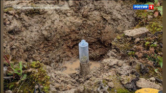 В Коми впервые применили метод компьютерной томографии для почвы