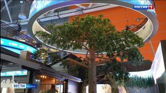 Экспозицию республики с международной выставки "Россия" перевезут в Сыктывкар