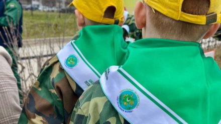 С 9 по 11 июня в селе Визинга Сысольского района пройдет второй межрегиональный слет школьных лесничеств