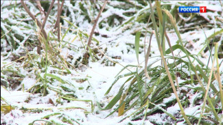 Погода на выходные в Коми будет облачной и с умеренными осадками 
