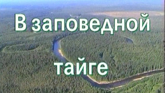 "В заповедной тайге" (2000 год). К 70-летию Печоро-Илычского заповедника