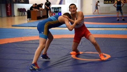 В столице Коми стартовали Всероссийские соревнования по вольной борьбе памяти А.Н. Пошивалова