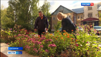 Жильцы одного из сыктывкарских домов превратили прилегающую территорию в цветущий сад