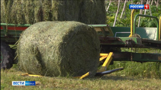 Аграрии Коми на 2/3 выполнили план по кормозаготовке