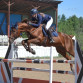В минувшие выходные в Выльгорте на базе региональной спортшколы проходили чемпионат и первенство Республики Коми по конному спорту в дисциплине "Конкур"