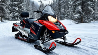 Мошенники оставили жителя Заполярья без денег и снегохода