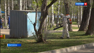 В этом году в Сыктывкаре обработают от клещей 39 участков общей площадью 455 тысяч квадратных метров