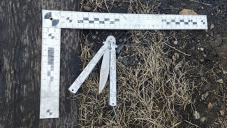 Вступил в законную силу приговор жителю Инты, совершившему преступления в отношении знакомого и его сестры