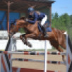 В минувшие выходные в Выльгорте на базе региональной спортшколы проходили чемпионат и первенство Республики Коми по конному спорту в дисциплине "Конкур"