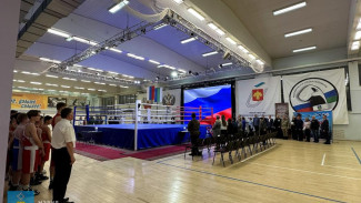 В столице Коми открылись городские соревнования по боксу, посвященные памяти спортсменов-боксёров, погибших в ходе специальной военной операции