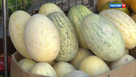 Врач рассказала, кому нельзя есть дыню