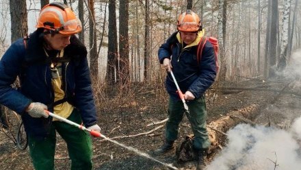 Более 500 тысяч гектаров в огне: как пожарные из Коми помогают Забайкалью в борьбе с огненной стихией