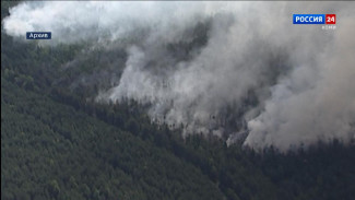 Сегодня в Республике Коми действовали 4 лесных пожара