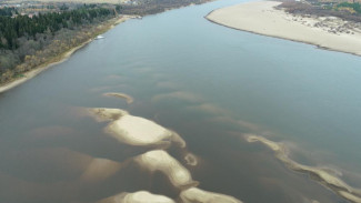 В Сыктывкаре завершился этап масштабного изучения Вычегды и Сысолы