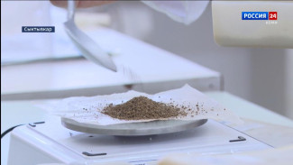 Специалисты РосАгрохимслужбы: "Почвы сельхозугодий Коми истощены"