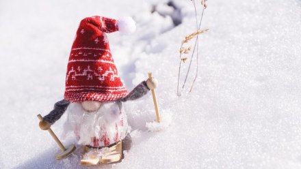Традиционный конкурс «Сыктывкарская лыжня» стартует в первый день зимы