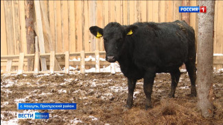 В этом году в Коми шесть начинающих фермеров получили государственную поддержку для запуска собственного дела
