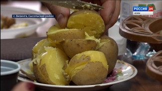 В Визинге сортоиспытательный участок подводит итоги сезона