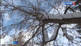 Синоптики рассказали, какой будет погода в праздник