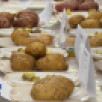 Арктический картофель из Коми получил золотую медаль международного конкурса изобретений и инновационных технологий