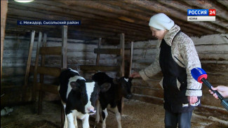 Фермеры из сысольского села Межадор поделились секретами правильного ухода за бурёнками