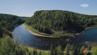 Телемарафон "Истоки"