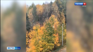 В Ухте выпал первый снег