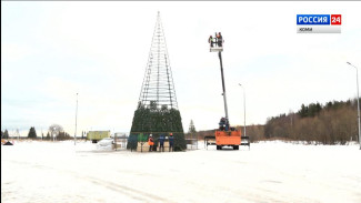 В Эжвинском районе столицы собирают главную новогоднюю красавицу-ёлку