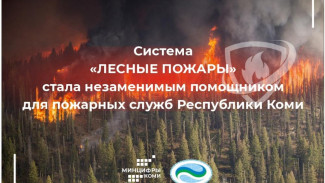 Система "Лесные пожары" стала незаменимым помощником для пожарных служб Республики Коми