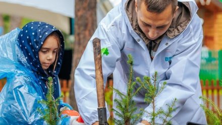 «ЭкоДом – Республика Коми»: в Сыктывкаре пройдет масштабный экологический фестиваль