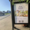 Ко Дню России и Дню города запустили проект «Мир детскими глазами»