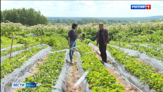 Начинающие фермеры Коми получили господдержку на 130 миллионов рублей