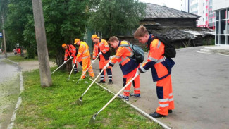 В Коми более 9 тысяч подростков были трудоустроены этим летом