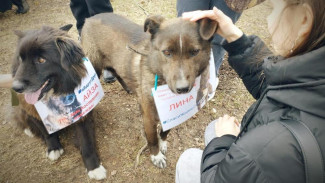 Региональный оператор Севера продолжает проводить эковыходные в  Республике Коми
