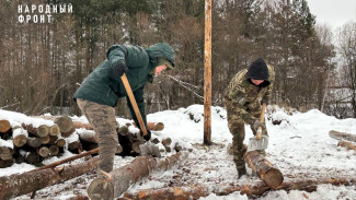Волонтеры Сыктывкара помогают строить новый приют для бездомных животных «Лучик света»