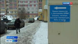 Уровень заболеваемости ОРВИ и гриппом в Коми опустился ниже пороговых значений