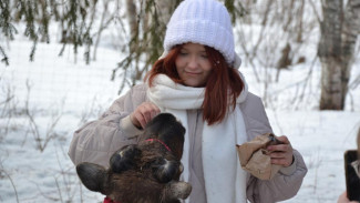  В Коми вновь стартует новый сезон бесплатных путешествий для молодёжи