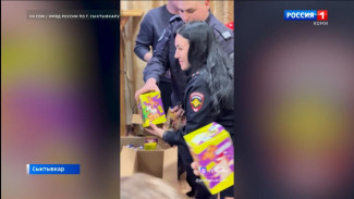 Сотрудники УМВД России по Сыктывкару присоединились к акции «Полицейский Дед Мороз»